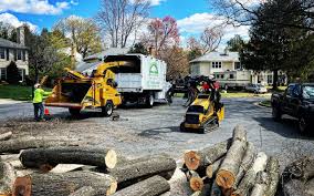 Lawn Renovation and Restoration in Perryopolis, PA